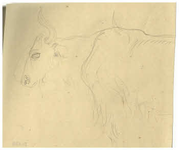 Visualizza l'immagine "FD D 124"